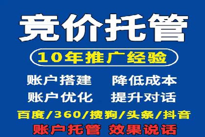 大型SEM服务公司案例分析